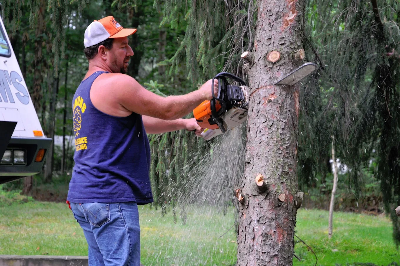 Simons Tree Services